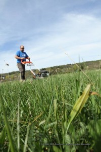 Franck Bonneau apara a grama do campo para criar a figura gigante.